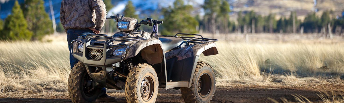 2013 Honda&reg; ATV for sale in FX Caprara Motorcycles, Adams Center, New York